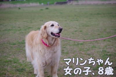 1永野川11.jpg