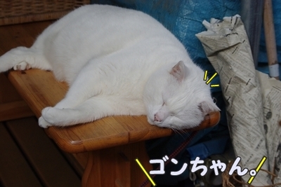 1永野川14.jpg