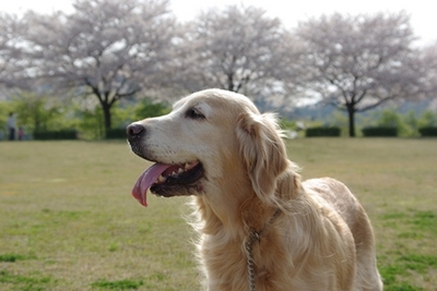 1永野川20.jpg