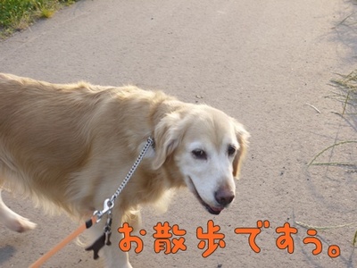 1解禁01.jpg