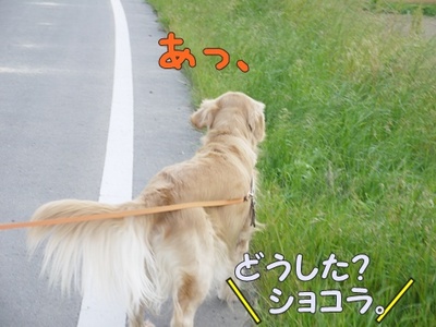 1解禁02.jpg