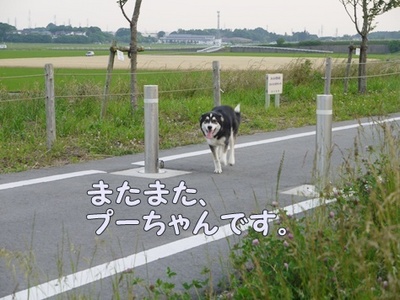 1解禁03.jpg