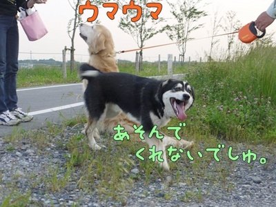 1解禁06.jpg