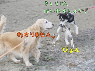 1解禁08.jpg