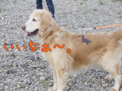 1解禁10.jpg