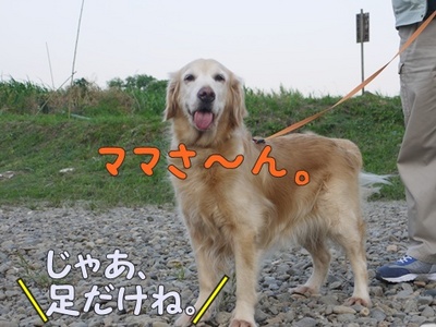 1解禁11.jpg