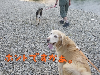 1解禁12.jpg