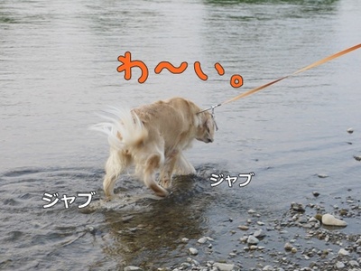 1解禁13.jpg