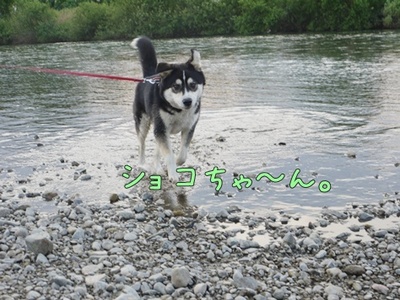 1解禁15.jpg