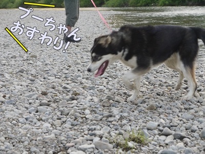1解禁16.jpg