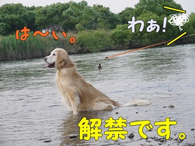 1解禁17.jpg