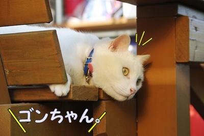 1解禁19.jpg
