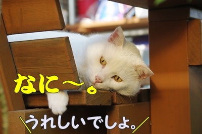 1解禁21.jpg