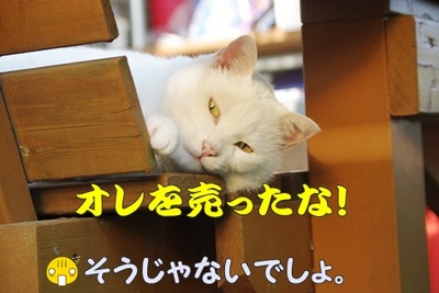 1解禁22.jpg