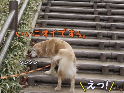 1角02.jpg