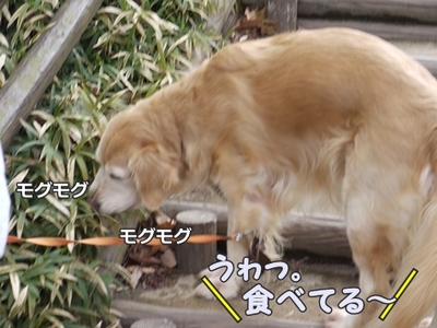 1角03.jpg