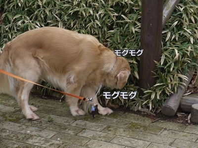1角05.jpg