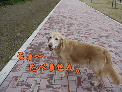 1角10.jpg