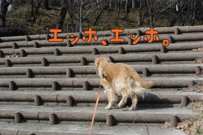 1公園復帰204.jpg