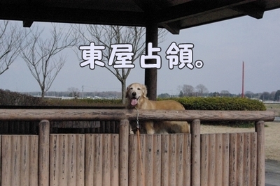 1公園復帰212.jpg