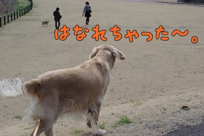 1公園復帰213.jpg