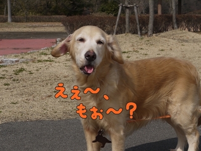 1公園復帰302.jpg