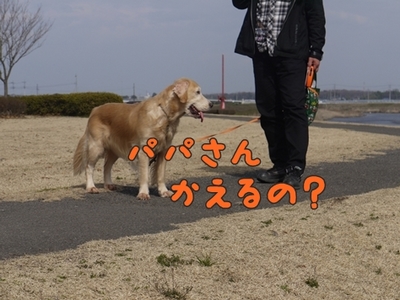 1公園復帰303.jpg