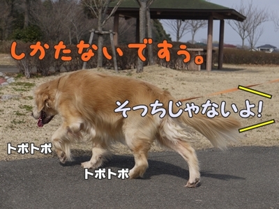 1公園復帰304.jpg