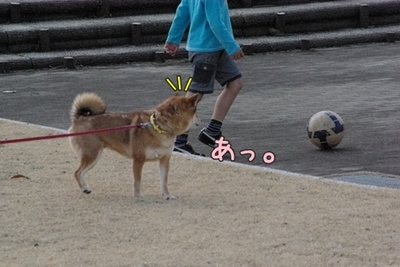 1公園復帰305.jpg