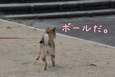 1公園復帰306.jpg