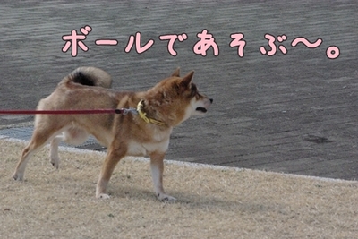 1公園復帰308.jpg