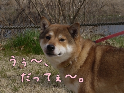 1公園復帰310.jpg