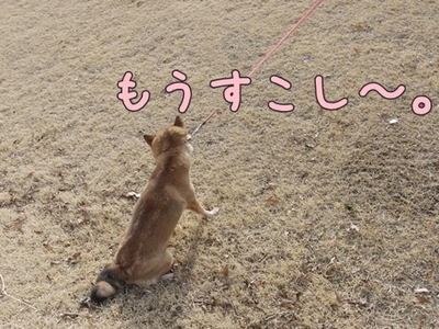 1公園復帰311.jpg