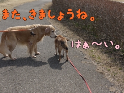 1公園復帰312.jpg