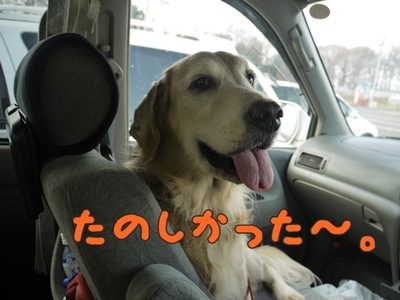 1公園復帰313.jpg