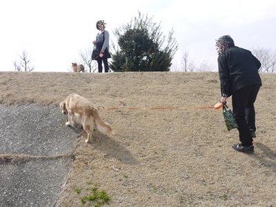 1公園復帰316.jpg
