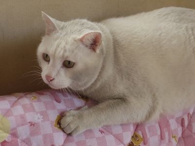 1公園復帰318.jpg
