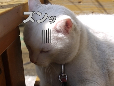 1公園復帰321.jpg