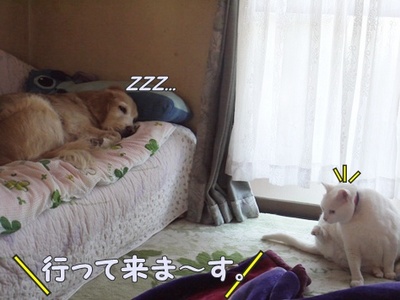 1行って来ます00.jpg
