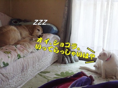 1行って来ます01.jpg