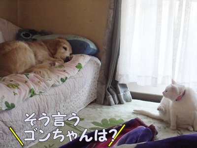 1行って来ます02.jpg