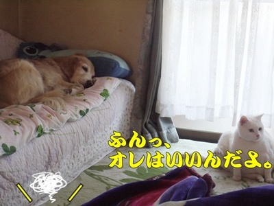 1行って来ます03.jpg