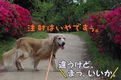 1暑い暑い207.jpg