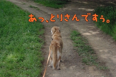 1暑い暑い210.jpg