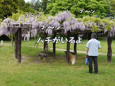 1暑い暑い212.jpg