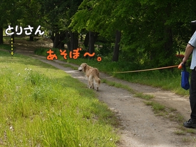 1暑い暑い215.jpg