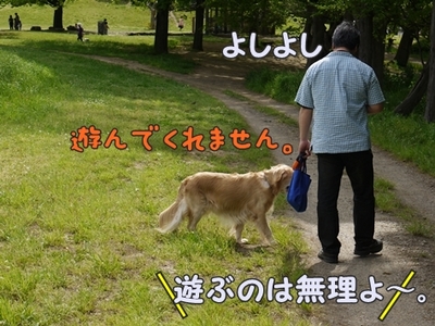 1暑い暑い216.jpg