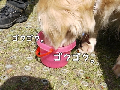 1暑い暑い218.jpg