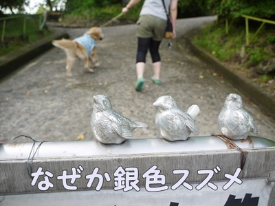 1城跡01.jpg