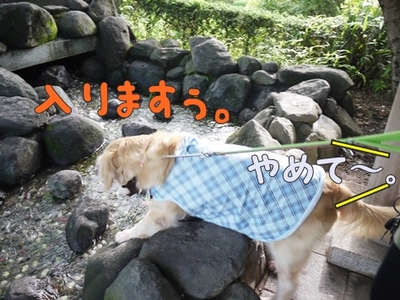 1城跡03.jpg